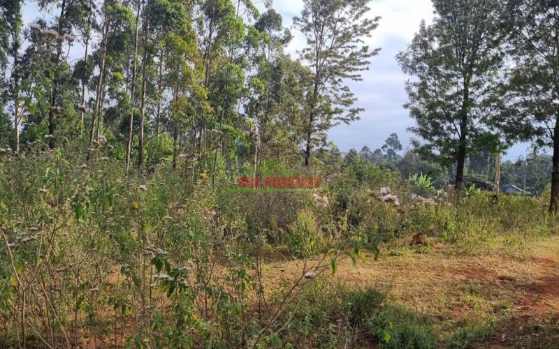 Prime Residential 50 By 100 Fts Plot For Sale In Gikambura