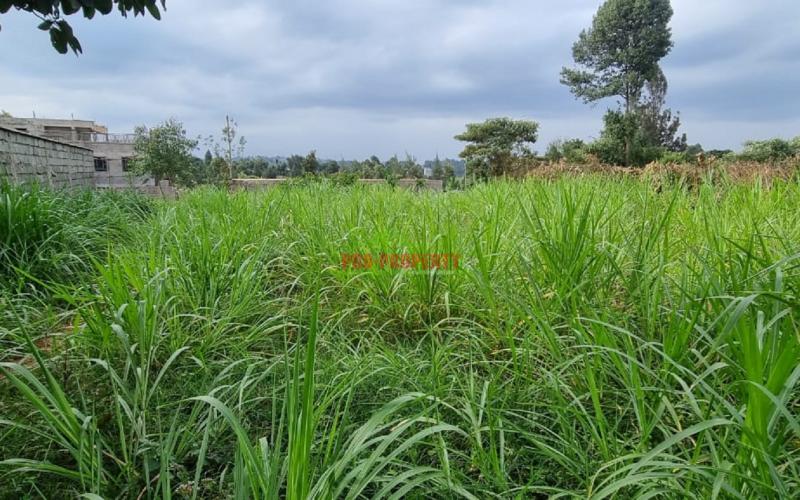 Residential 50 By 100 Fts Plot For Sale In Thogoto.