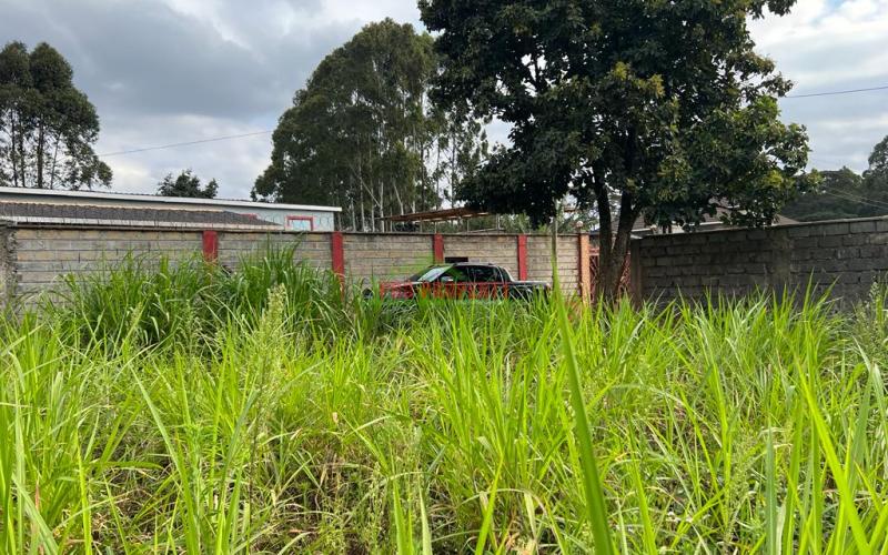 Prime Residential Plot For Sale In Kikuyu, Gikambura