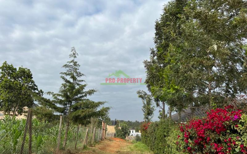 Prime Residential Plot For Sale In Kikuyu, Kamangu. (migumoini).