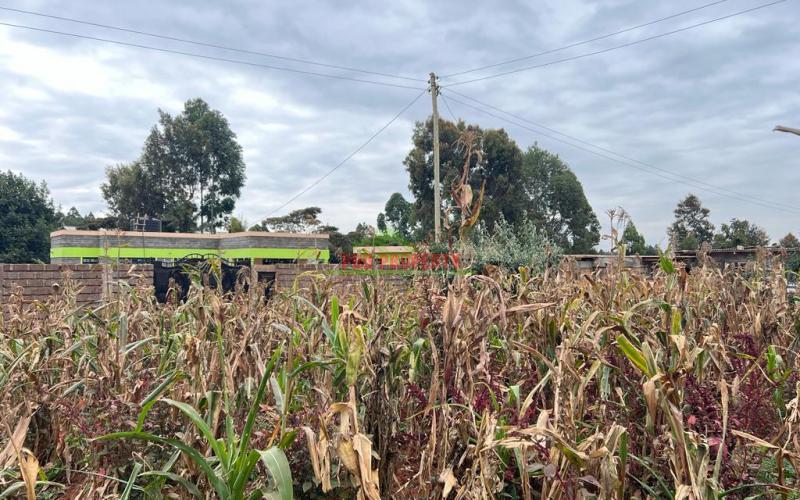 Prime Residential Plot For Sale In Kikuyu, Kamangu.