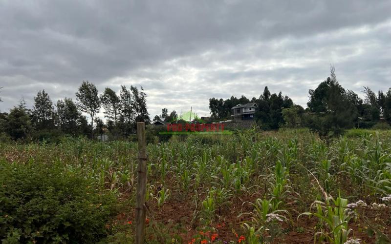 Prime Residential Plot For Sale In Kikuyu, Kamangu.