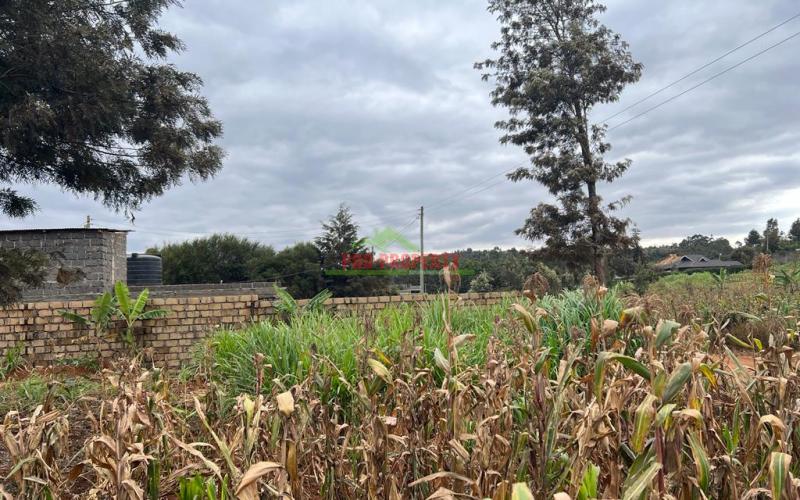 Prime Residential Plot For Sale In Kikuyu, Kamangu.
