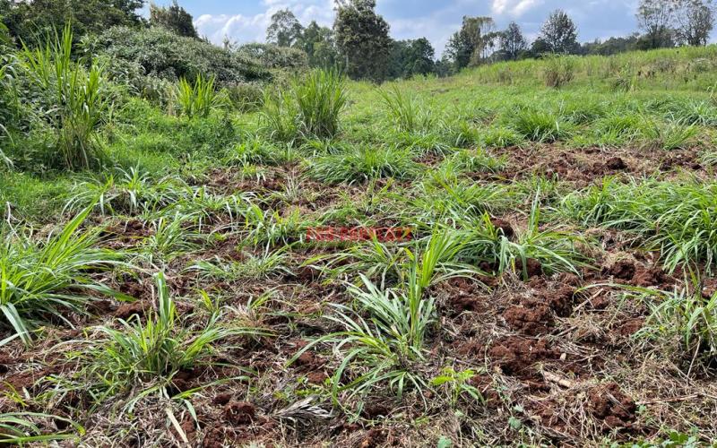 Prime Block Of Land For Sale In Kikuyu Town.