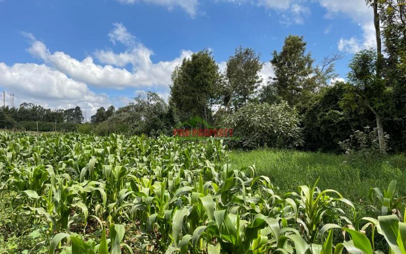 Prime Block Of Land For Sale In Kikuyu Town.