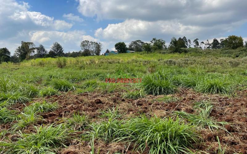 Prime Block Of Land For Sale In Kikuyu Town.
