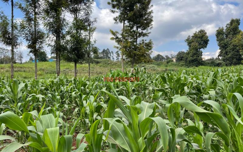 Prime Block of Land For Sale in Kikuyu Town.