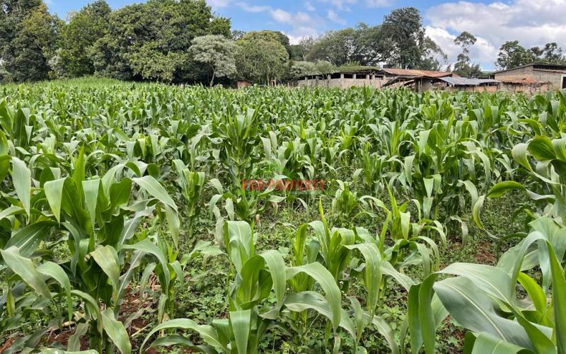 Prime Block Of Land For Sale In Kikuyu Town.