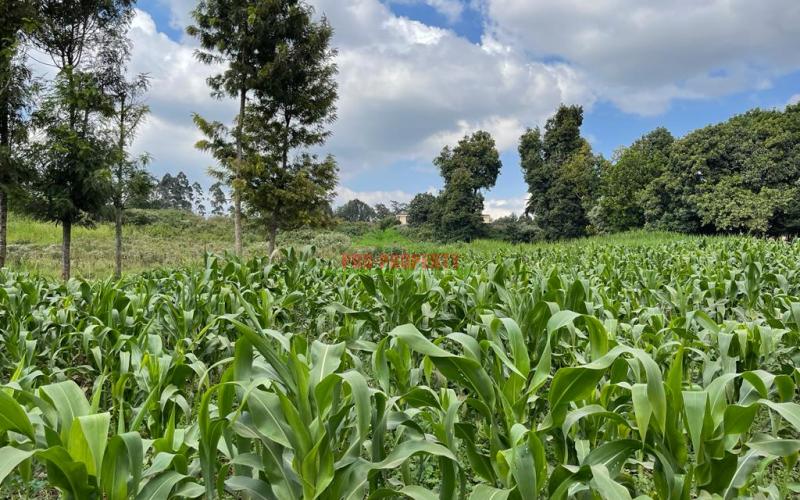 Prime Block Of Land For Sale In Kikuyu Town.