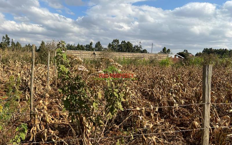 Prime Residential Plot For Sale In Kikuyu,kamangu