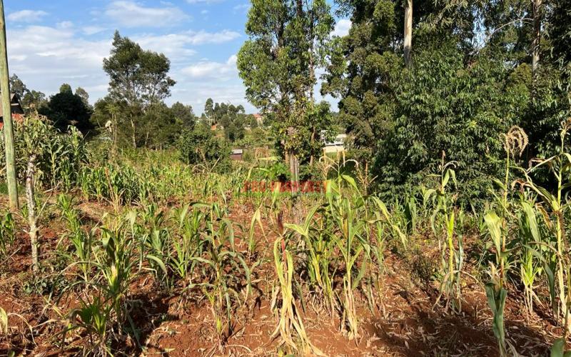 Prime Residential Plot For Sale In Kikuyu, Gikambura.