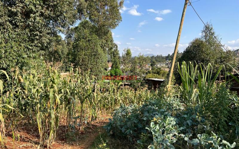 Prime Residential Plot For Sale In Kikuyu, Gikambura.