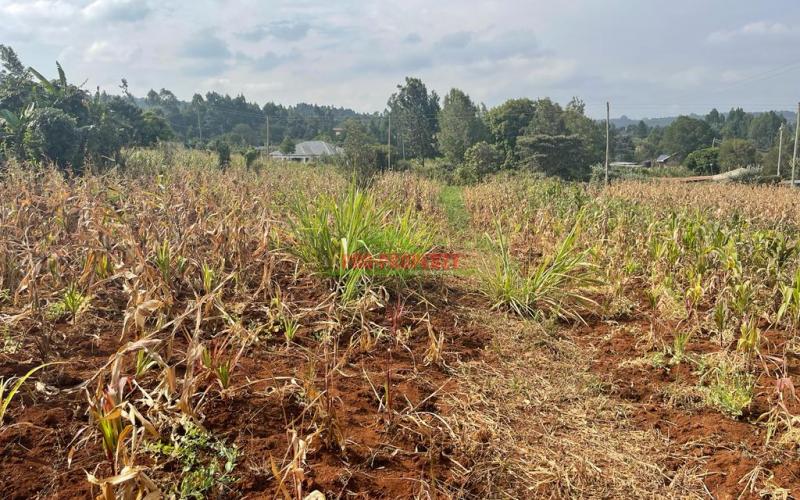 Prime Residential Plot For Sale In Kikuyu, Kamangu Karai (migumoini Area).