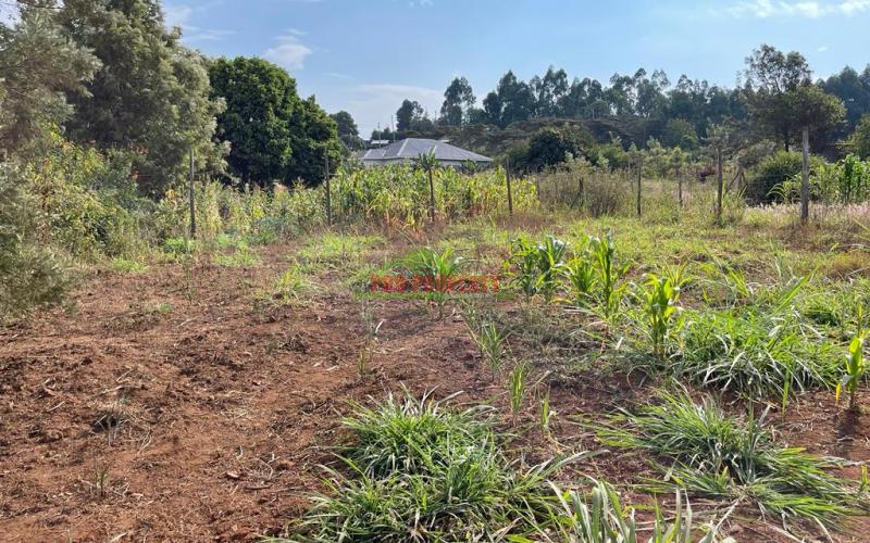 Prime Residential Plot For Sale In Kikuyu, Kamangu Karai (migumoini Area).