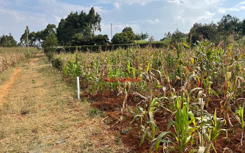 Prime Residential Plot For Sale In Kikuyu, Kamangu Karai (migumoini Area).