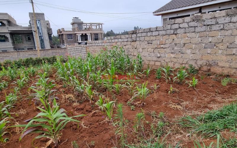 Prime Residential Plot For Sale In Kikuyu, Gikambura (Along Jambu Tv Road).