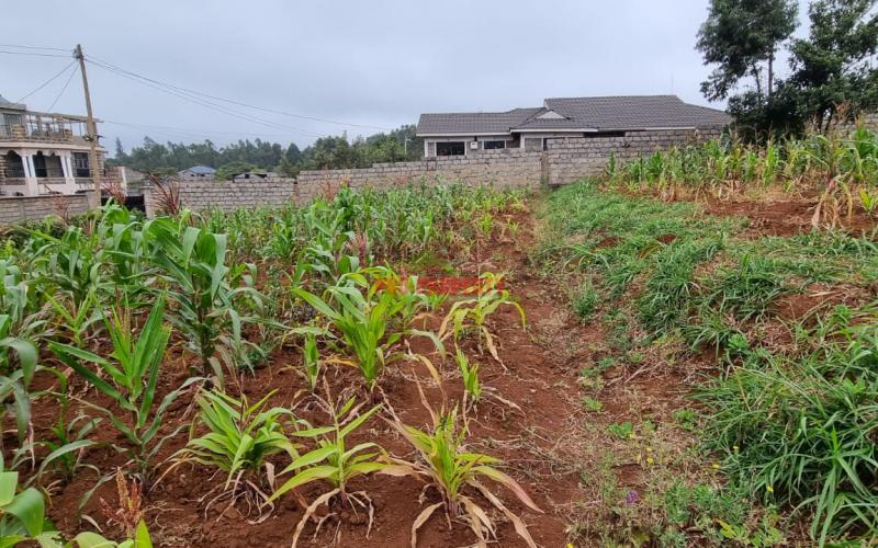 Prime Residential Plot For Sale In Kikuyu, Gikambura (along Jambu Tv Road).