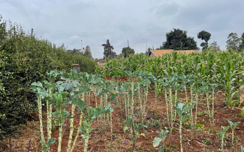 Prime Commercial Corner Plot For Sale In Kikuyu, Gikambura On Tarmac.