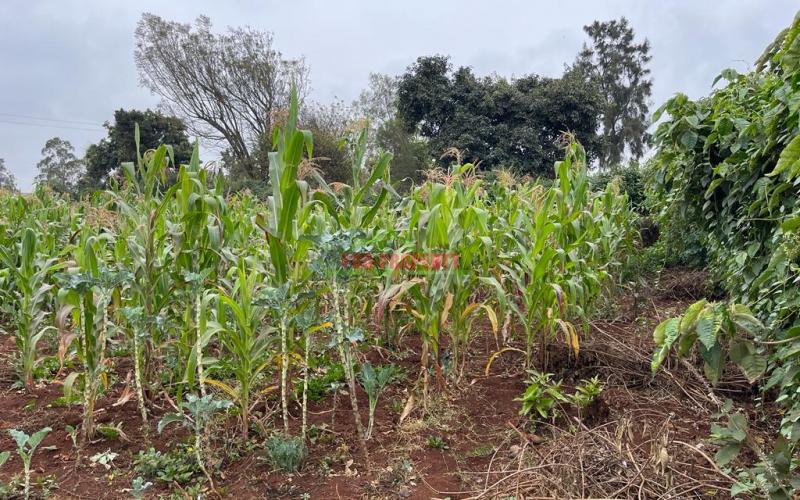 Prime Commercial Corner Plot For Sale In Kikuyu, Gikambura On Tarmac.