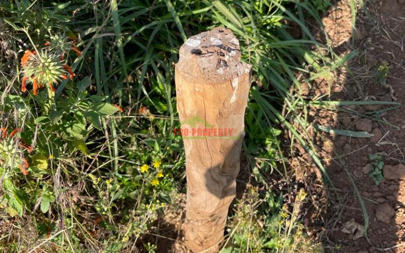 Plot For Sale In Limuru, Mboroti.