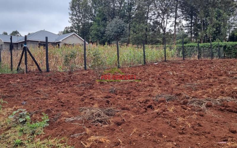 Prime Plot For Sale In Kikuyu, Thogoto.