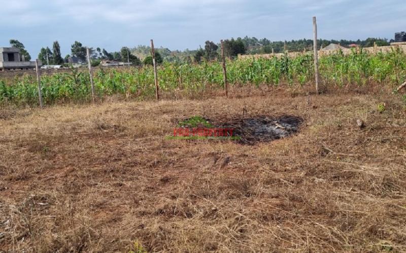 50 By 100 Fts Plot For Sale In Kikuyu, Lusigetti.