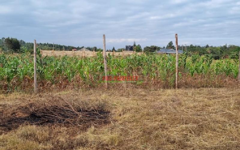 50 By 100 Fts Plot For Sale In Kikuyu, Lusigetti.