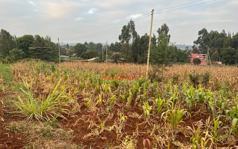 Prime Residential Plot For Sale In Kikuyu, Kamangu (migumoini).