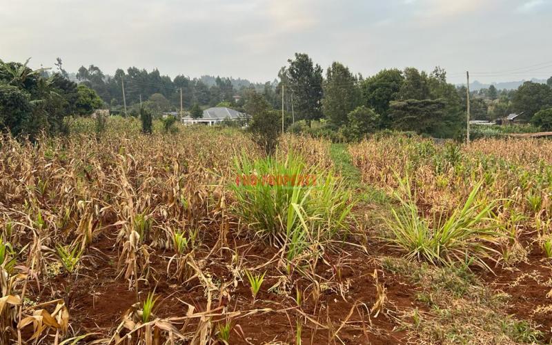 Prime Residential Plot For Sale In Kikuyu, Kamangu (migumoini).