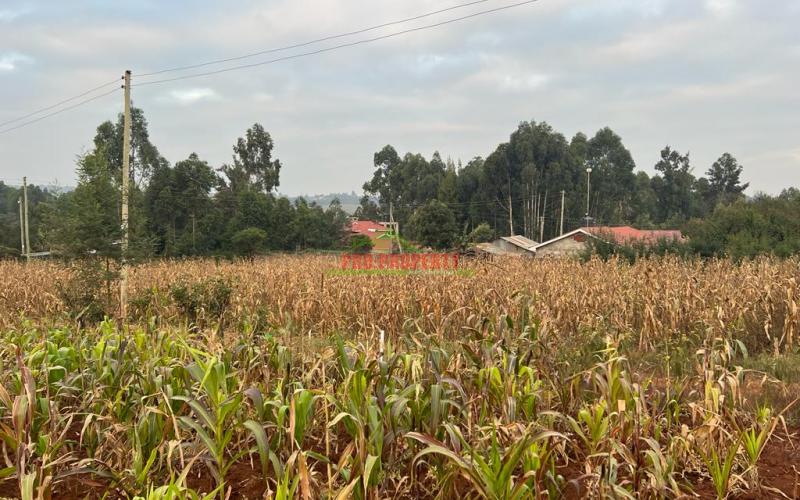 Prime Residential Plot For Sale In Kikuyu, Kamangu (migumoini).