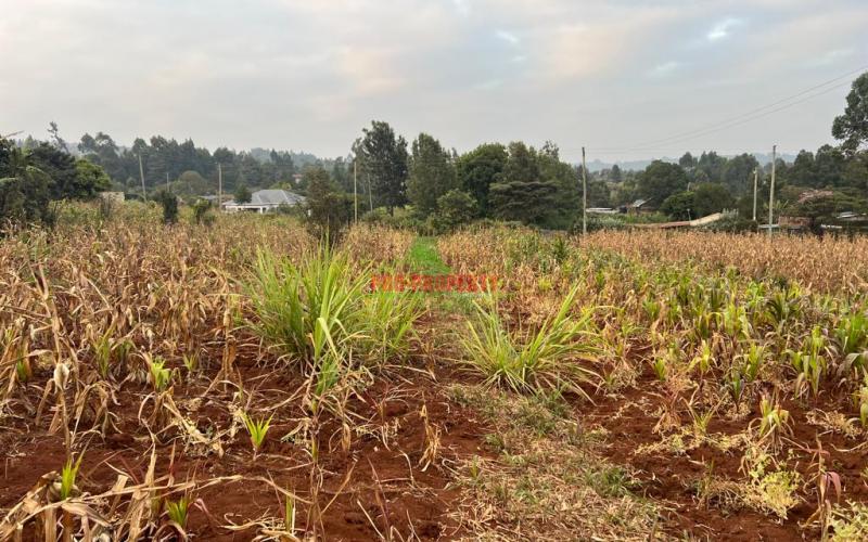 Prime Residential Plot For Sale In Kikuyu, Kamangu (migumoini).