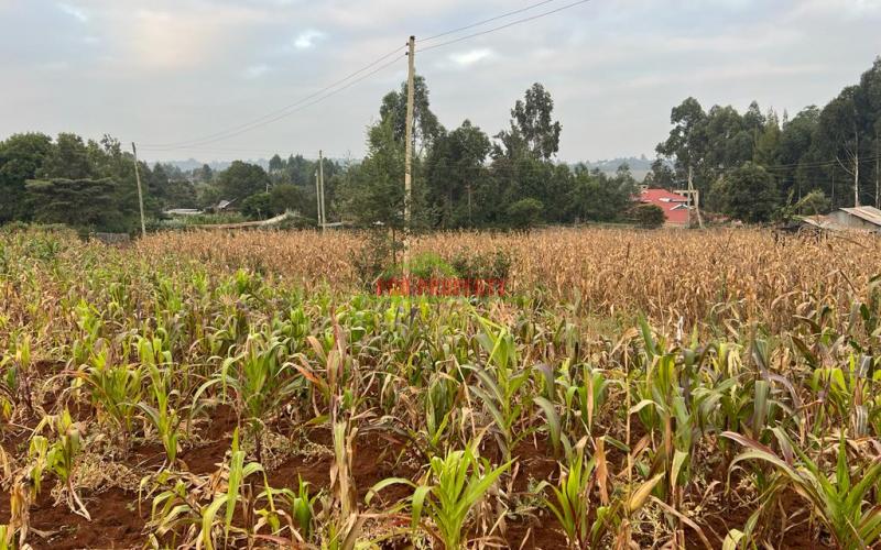 Prime Residential Plot For Sale In Kikuyu, Kamangu (migumoini).