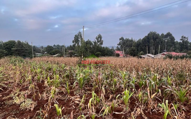Prime Residential Plot For Sale In Kikuyu, Kamangu (migumoini).