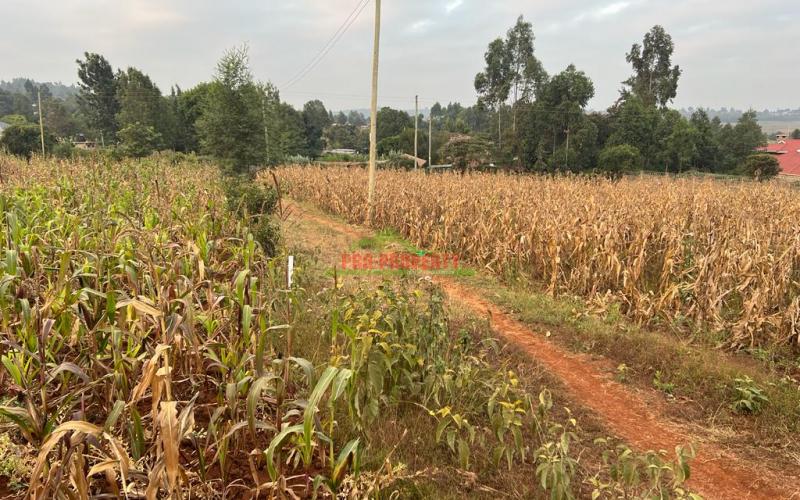 Prime Residential Plot For Sale In Kikuyu, Kamangu (migumoini).
