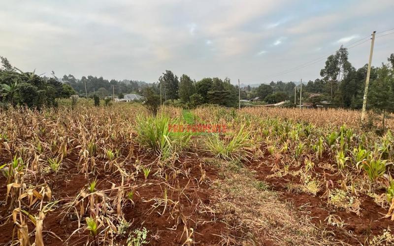 Prime Residential Plot For Sale In Kikuyu, Kamangu (migumoini).