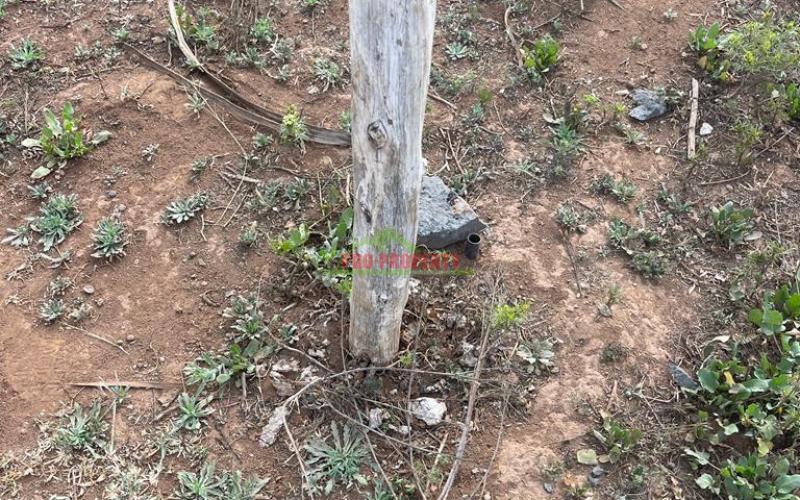 Residential Plot's  For Sale In Kikuyu, Kamangu (karai Area) In Kiambu County.