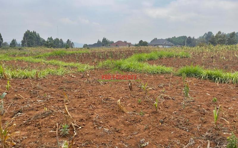Residential Plot For Sale In Kikuyu, Kamangu (migumoini Area).