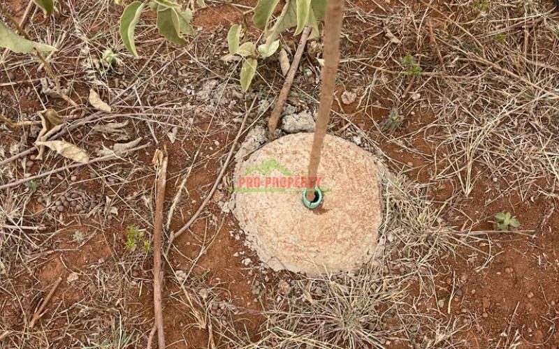 Prime Residential Plot For Sale In Kikuyu, Rose Gate.