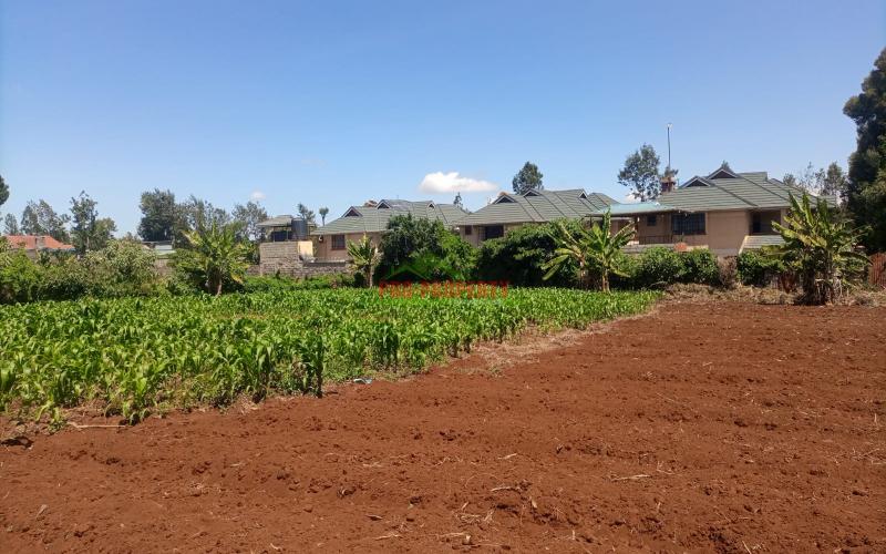 1/2 Acre Land  For Sale In Kikuyu Thogoto