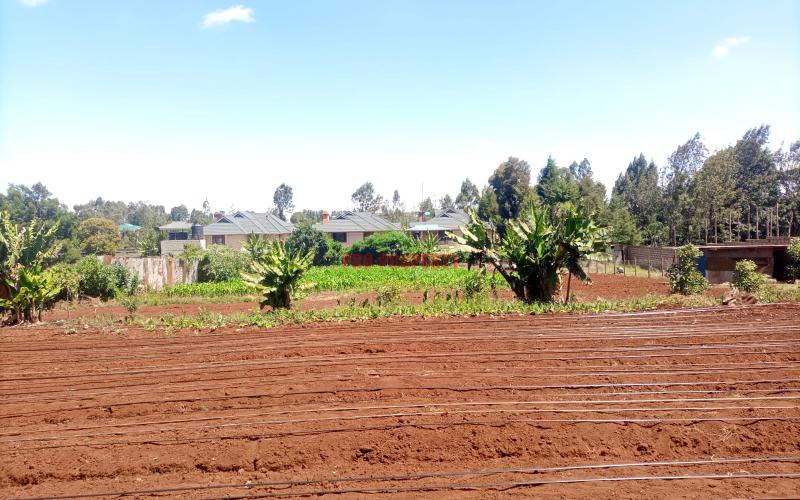 1/4 Acre For Sale In Kikuyu Thogoto