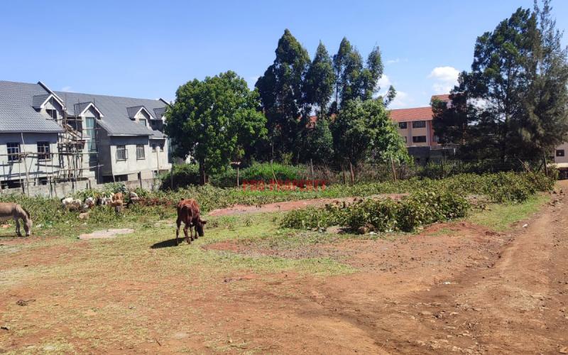 Prime 1/2 Commercial Plot For Sale In Thogoto.