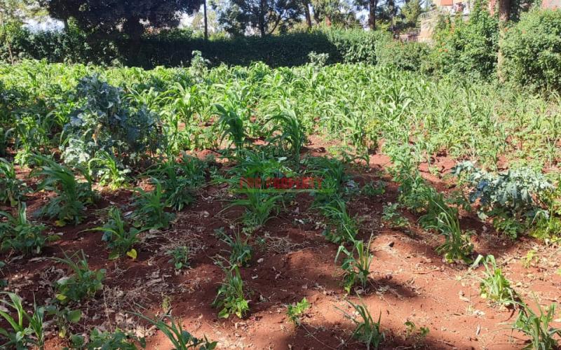 1/4 Acre Commercial Plot For Sale In Thogoto.