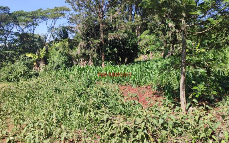 Prime 1/4 Acre Commercial Plot In Thogoto