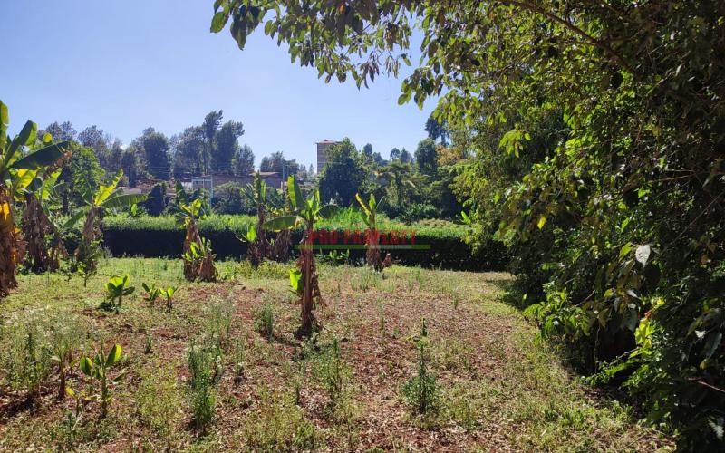 Prime 1/4 Acre Commercial Plot In Thogoto