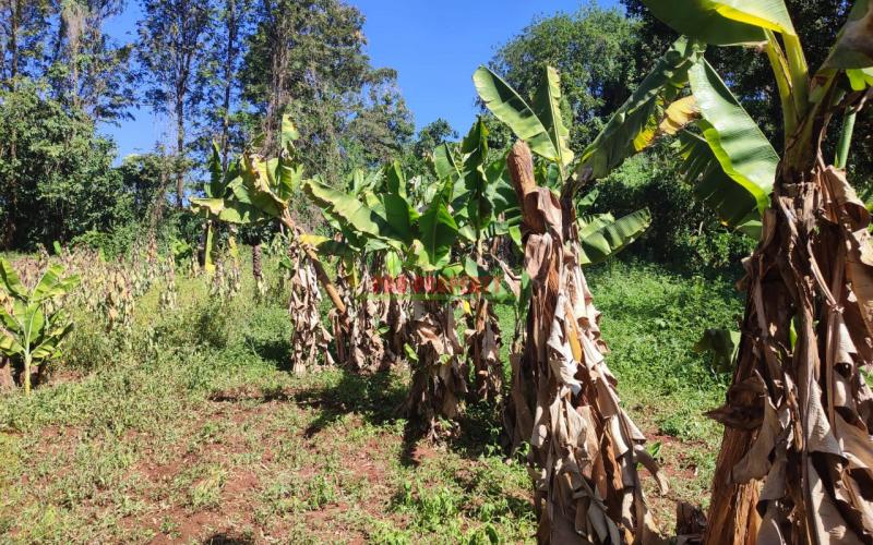 Prime 1/4 Acre Commercial Plot In Thogoto