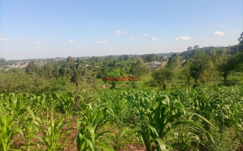 50 By 100ft Commercial Plot For Sale In Kikuyu Thogoto