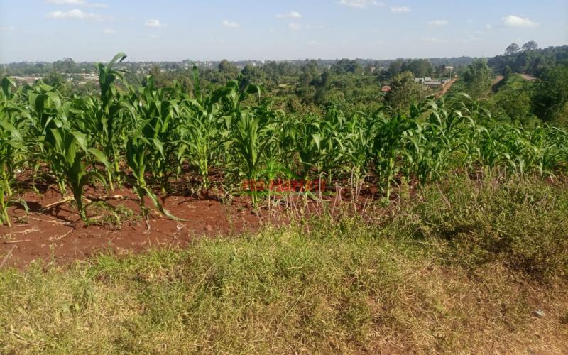 50 By 100ft Commercial Plot For Sale In Kikuyu Thogoto