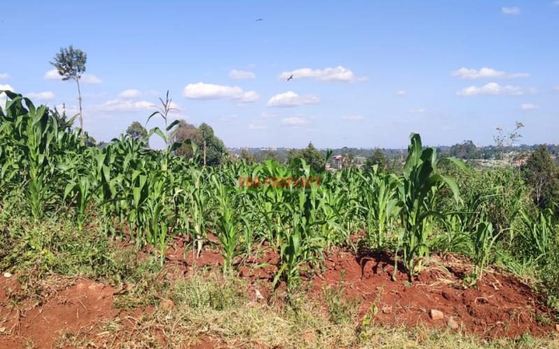 Prime 50 By 100ft Commercial Plot In Thogoto