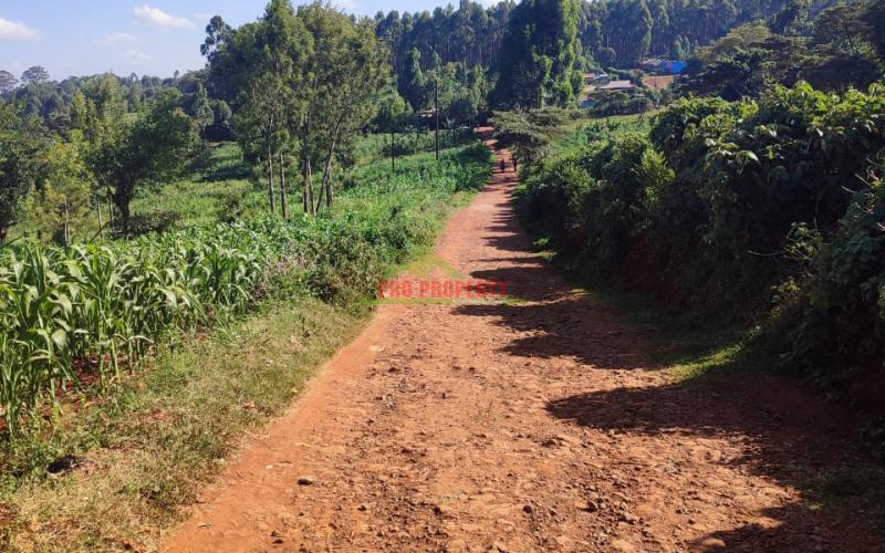 Prime 50 By 100ft Commercial Plot In Thogoto