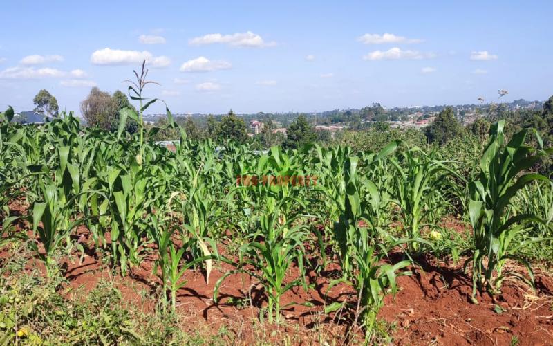 Prime 50 By 100ft Commercial Plot In Thogoto